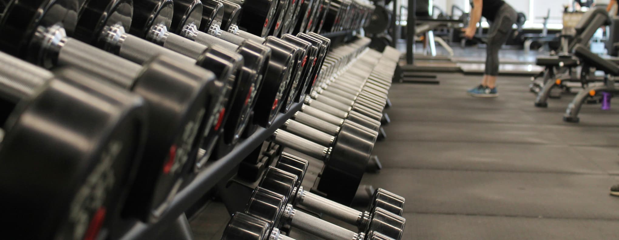A long rack of dumbells